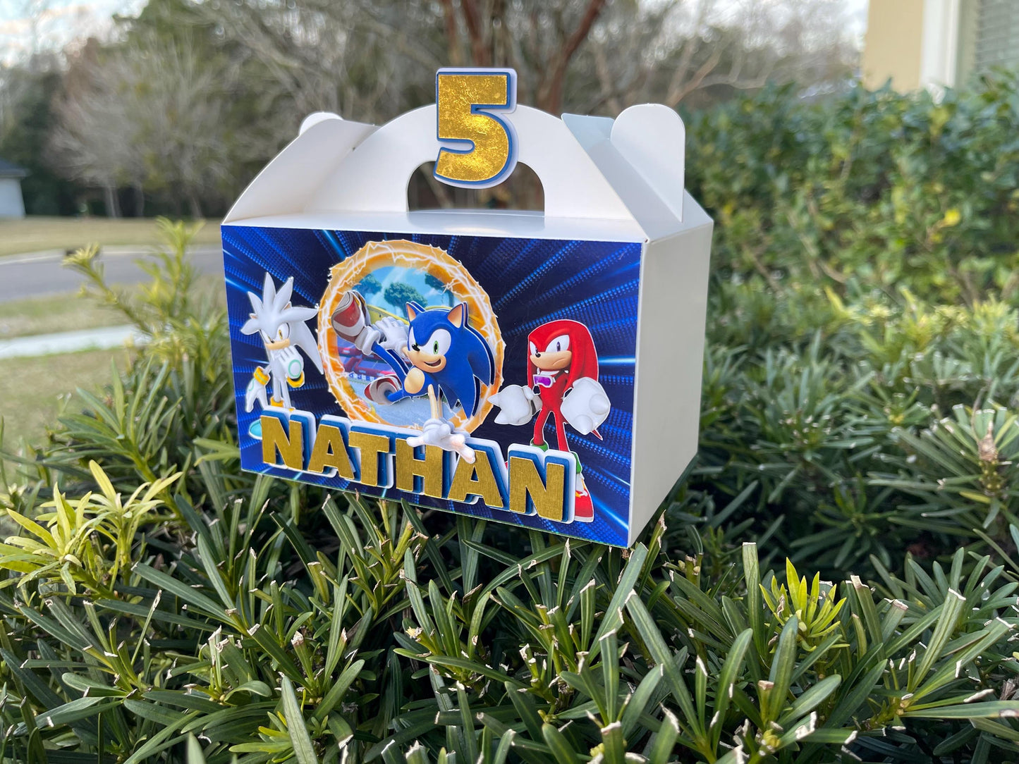 Party Favors - Surprise Box - Custom Theme (Personalized)