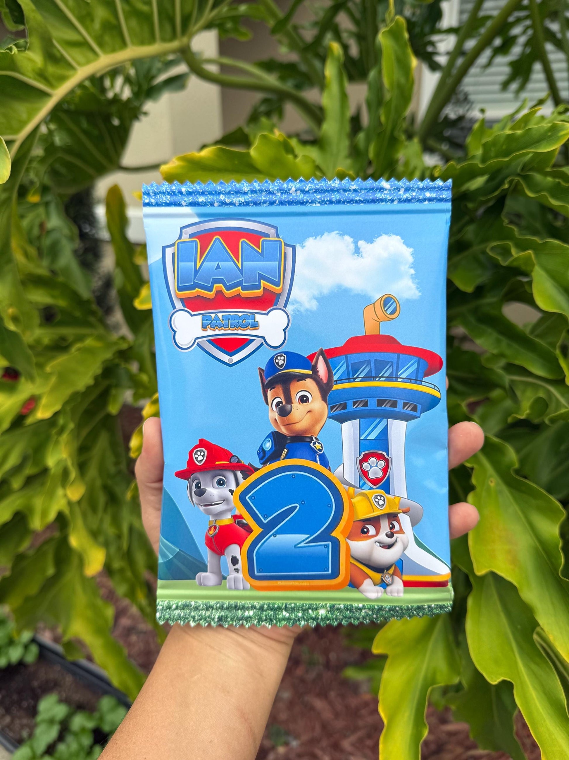 Party Favors - Snack Bags - Custom Theme (Personalized)