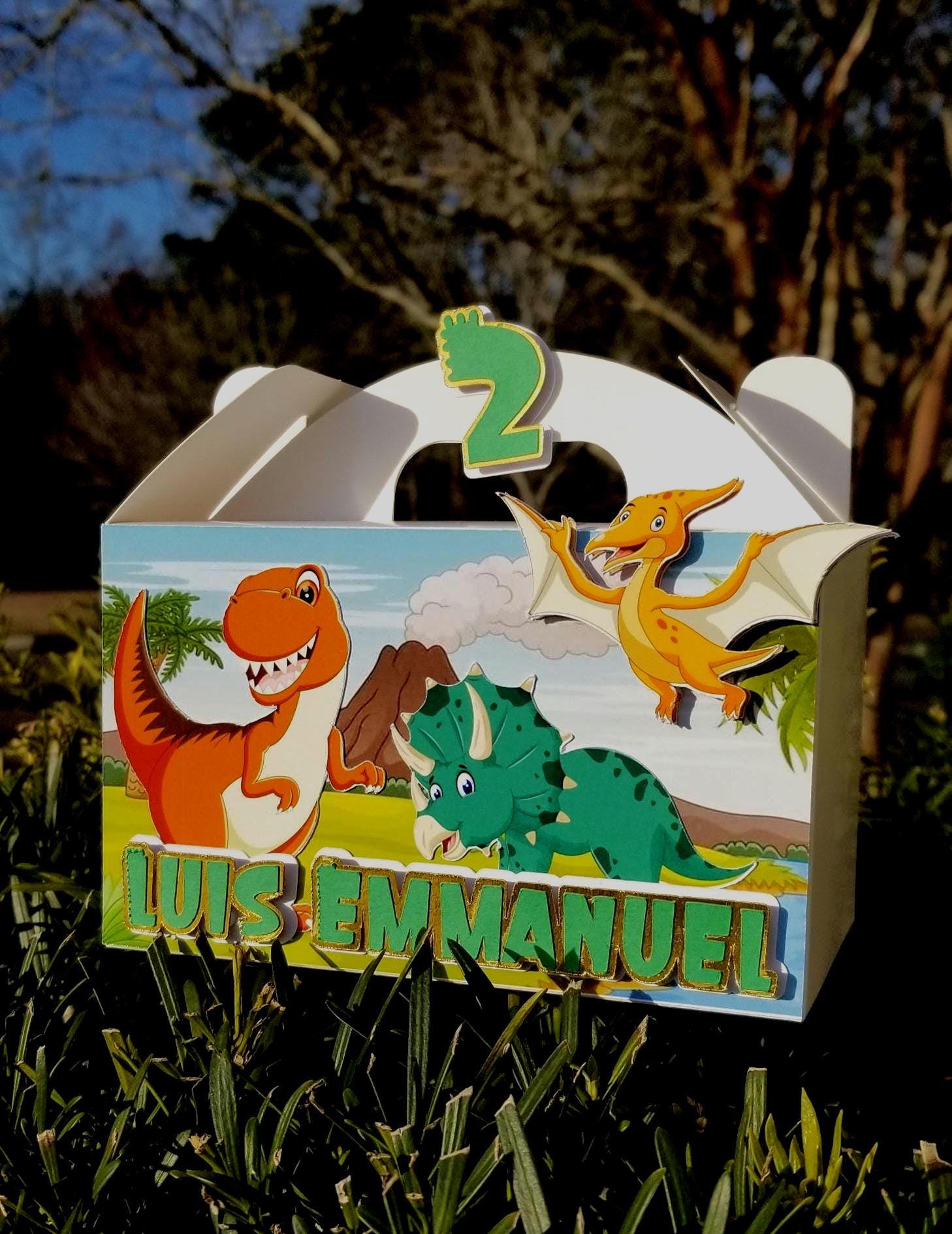 Party Favors - Surprise Box - Custom Theme (Personalized)